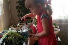 IMG-4a46386a8f8974cda27e0640538eb88d-V